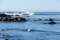 Sept2013_Monterey-5643