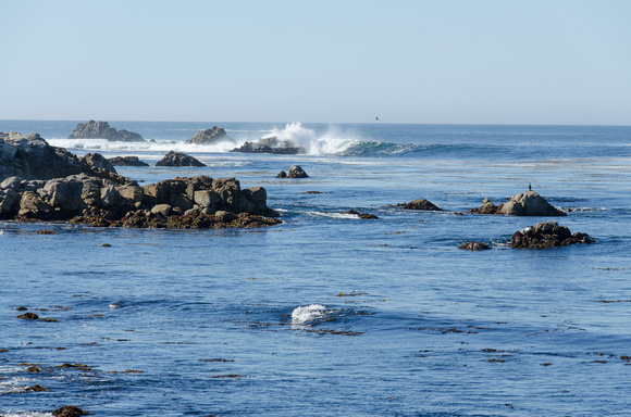 Sept2013_Monterey-5643